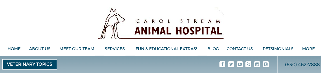 Carol Stream Animal Hospital